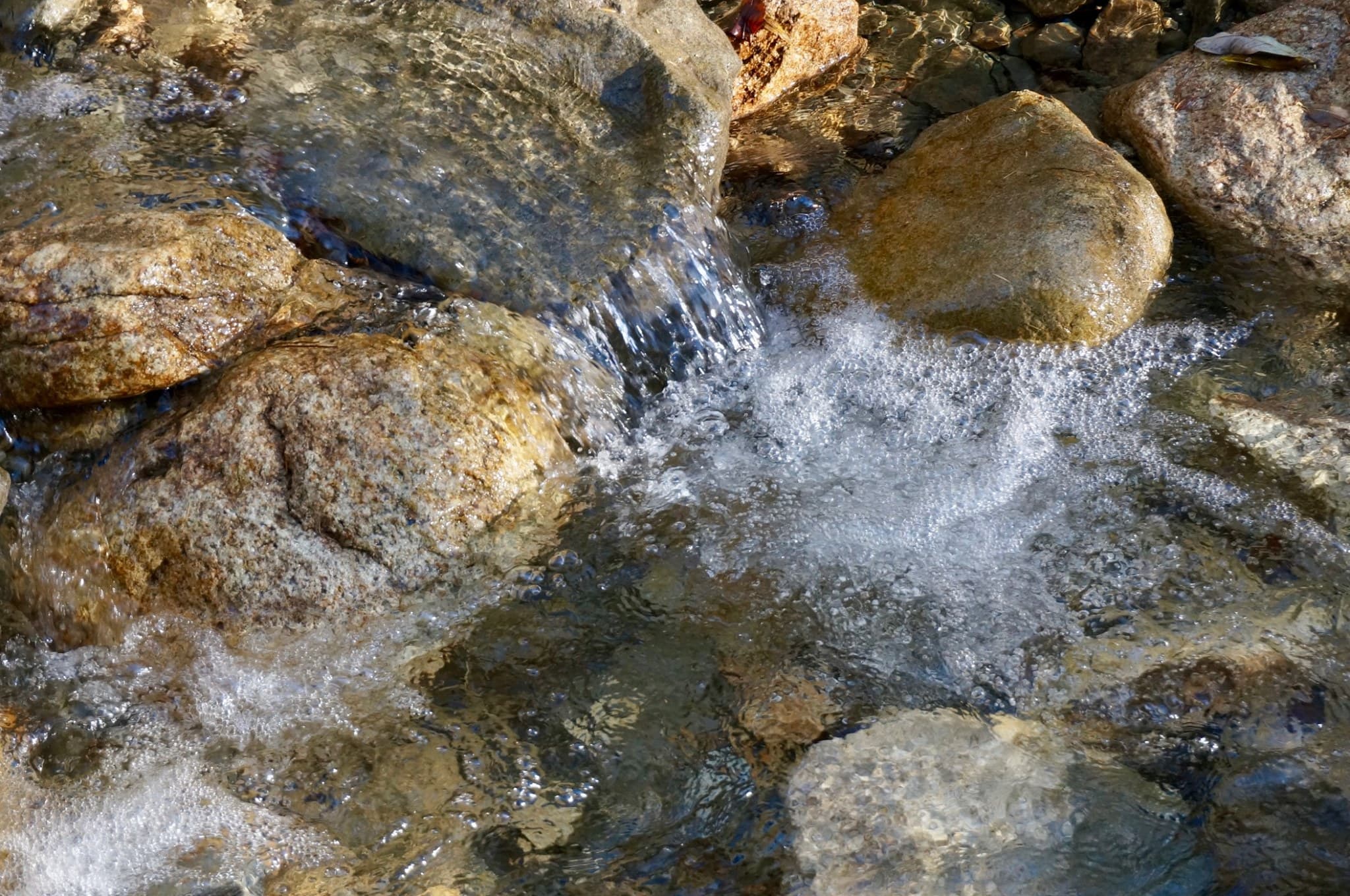 Water flowing gently over stones, a quiet natural detail